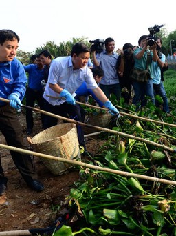 Tuổi trẻ TP.HCM ra quân chủ nhật xanh