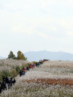 Ngoạn cảnh mùa thu xứ Hàn
