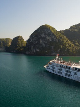 Trải nghiệm ẩm thực Pháp trên du thuyền Paradise Elegance