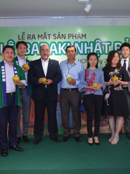 Giới thiệu sản phẩm trái lê Nhật Bản