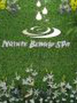 Khai trương Trung tâm làm đẹp Nature Beauty Spa