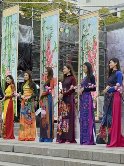 Lễ hội Việt Nam tại Aichi, Nhật Bản