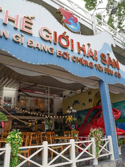 Ưu đãi to tại Thế Giới Hải Sản