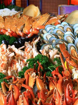 Ưu đãi tháng 9 tại Melia Hà Nội