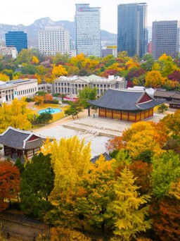 Hàn Quốc tổ chức nhiều hoạt động thu hút khách du lịch mùa thu