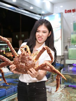 Thế giới hải sản - điểm đến yêu thích của người nổi tiếng