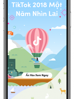 Nhìn lại những xu hướng và trào lưu nổi bật nhất tại TikTok VN 2018