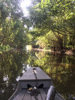 Về thăm xứ sở sen hồng