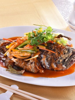 Khám phá món ăn chế biến từ cá Song tại Golden Dragon