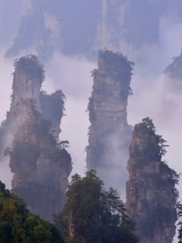 Trương Gia Giới, điểm đến hấp dẫn của du khách Việt