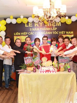 Liên hiệp các CLB ngành tóc VN, 5 năm xây dựng và phát triển