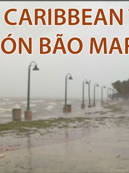 Vùng Caribbean tiếp tục đón bão Maria