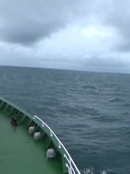 Vật lộn với sóng gió một ngày đêm cứu 10 ngư dân gặp nạn