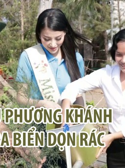 Hoa hậu Phương Khánh về quê ra biển dọn rác, trồng cây cùng bộ đội