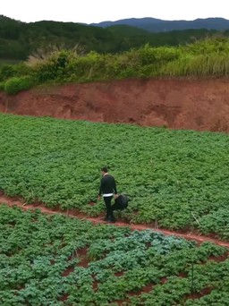 Đà Lạt, miền đất lành làm say lòng lữ khách