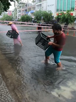 Mưa lớn cả ngày, cá tràn mặt đường, người dân Đà Nẵng đổ xô bắt cá giữa phố