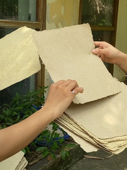 Độc đáo: Thảo Cầm Viên biến phân voi thành... giấy!