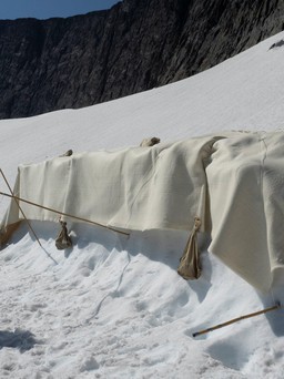 Đắp chăn len cho sông băng để làm gì?