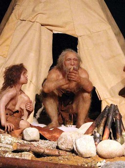 Tình dục đã khiến người Neanderthal tuyệt chủng?