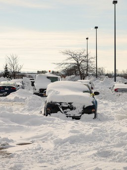 Thành phố Mỹ gượng dậy sau trận bão tuyết lịch sử, tìm thấy ít nhất 34 người thiệt mạng