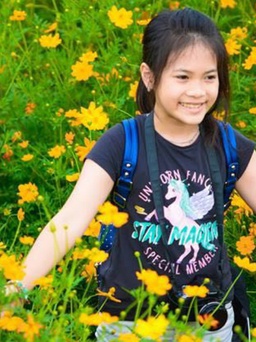 Học sinh gửi thư cho hiệu trưởng mong không thả bóng bay để bảo vệ môi trường