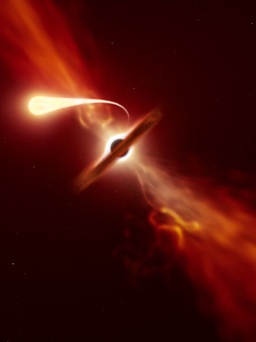 Kịch tính khoảnh khắc hố đen siêu lớn nuốt chửng ngôi sao
