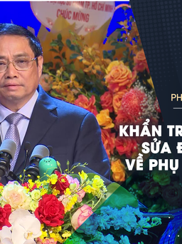 Thủ tướng Phạm Minh Chính: Sửa đổi quy định về phụ cấp ưu đãi giáo viên