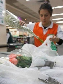 Quốc gia Nam Mỹ đầu tiên ban hành luật cấm dùng túi nhựa
