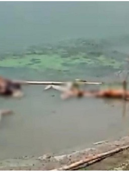 Phát hiện thêm nhiều thi thể nghi của bệnh nhân Covid-19 trôi dạt vào bờ sông Hằng