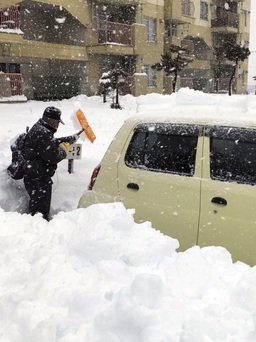 Bão tuyết ở Nhật gây nhiều thương vong