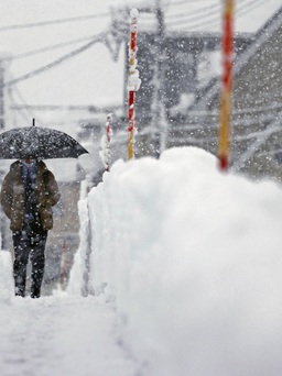 Nhật Bản oằn mình vì tuyết, đã có 17 người chết