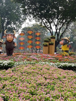 TP.HCM: Hội Hoa Xuân Tết Nhâm Dần 2022 ở Tao Đàn sẽ miễn phí vé vào cổng
