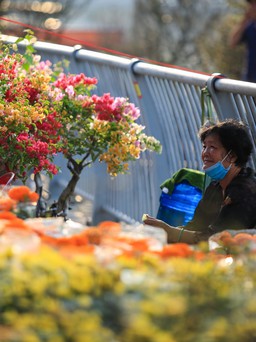 Những người miền Tây 20 năm chở ghe hoa lên TP.HCM bán tết ‘Trên bến dưới thuyền’