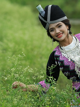 Dự án tặng 'quần con' cho học sinh vùng cao lọt top 10 ý tưởng tình nguyện xuất sắc