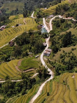 Ngất ngây với ruộng bậc thang Hoàng Su Phì mùa lúa chín