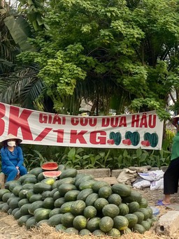 Hoa quả 'giải cứu' bán la liệt vỉa hè, người Hà Nội không mặn mà