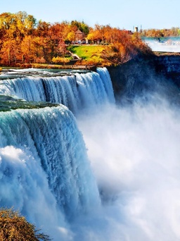 Canada mùa thu đẹp như tranh vẽ với lá phong vàng rơi