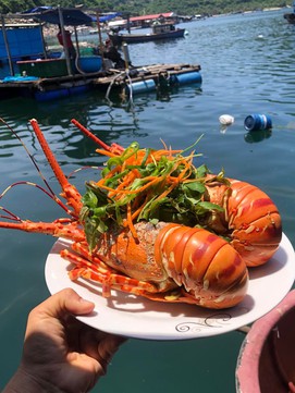 Mách nhỏ những nhà hàng bè nổi lấp đầy chiếc bụng đói khi du lịch Phú Yên