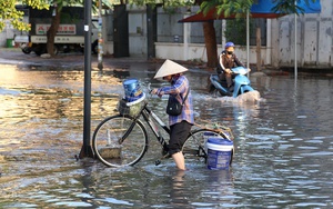 Triều cường gây ngập đường phố Hạ Long: 'Người dân phải sống khổ đến bao giờ?'