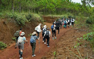 Đi leo núi, trekking trong rừng không được quên những điều này
