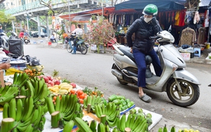 Chuối xanh vài trăm nghìn một nải, tiểu thương găm hàng chờ khách VIP 'chốt đơn'