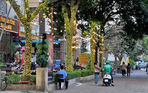 Cận cảnh cây xanh 'gánh' đèn trang trí, biển hiệu ở Hà Nội