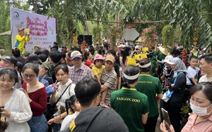 Xem hươu cao cổ 'làm đám cưới': Đông kín người tại Thảo Cầm Viên Sài Gòn