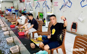 Đi câu giữa lòng thành phố, 'chiến lợi phẩm' là những con tôm càng xanh to đùng