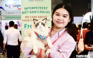 Hàng trăm người đến lễ hội thú cưng lớn nhất TP.HCM: Vào cổng là có quà