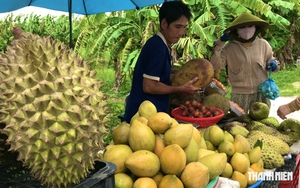 Buôn bán kiểu miền Tây: Hàng chẳng cần trông, một chục có khi tới 16