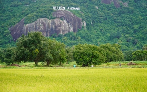 Vì sao một điểm ở An Giang trở thành điểm check-in của nhiều người trẻ? Vì sao một điểm ở An Giang trở thành điểm check-in của nhiều người trẻ?