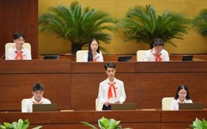 Tuyển đại biểu tự ứng cử Phiên họp giả định Quốc hội trẻ em