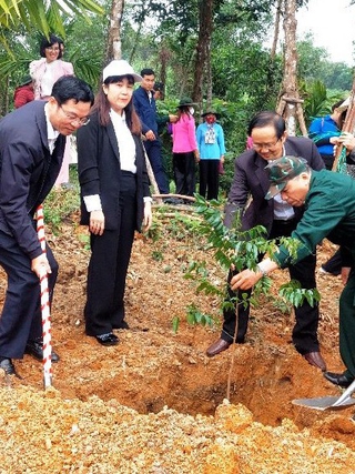 Tết trồng cây Xuân Quý Mão: Đà Nẵng khuyến khích 'xanh hóa' trụ sở