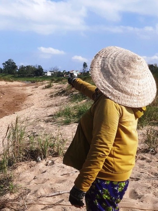 Quảng Nam: Dân gửi đơn tập thể kiến nghị 'cứu' hàng chục ha lúa vì nguy cơ mất trắng